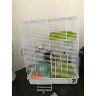 dancing hamster for sale