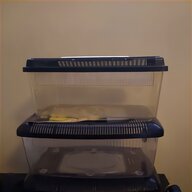 reptile egg incubator for sale