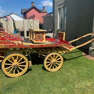 gypsy dray for sale