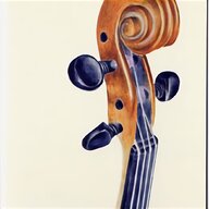 coloured violin for sale