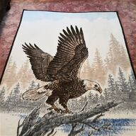 bald eagle for sale