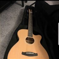 electro acoustic mandolin for sale