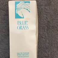 elizabeth arden blue grass for sale
