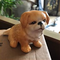 pekingese puppies for sale