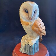 taxidermy barn owl for sale