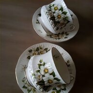 tea cup queens for sale
