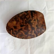 antique tortoise shell for sale