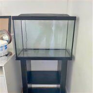 100l fish tank for sale