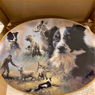 border collie plates for sale