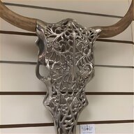 bison horns for sale