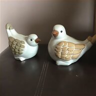turtle doves for sale