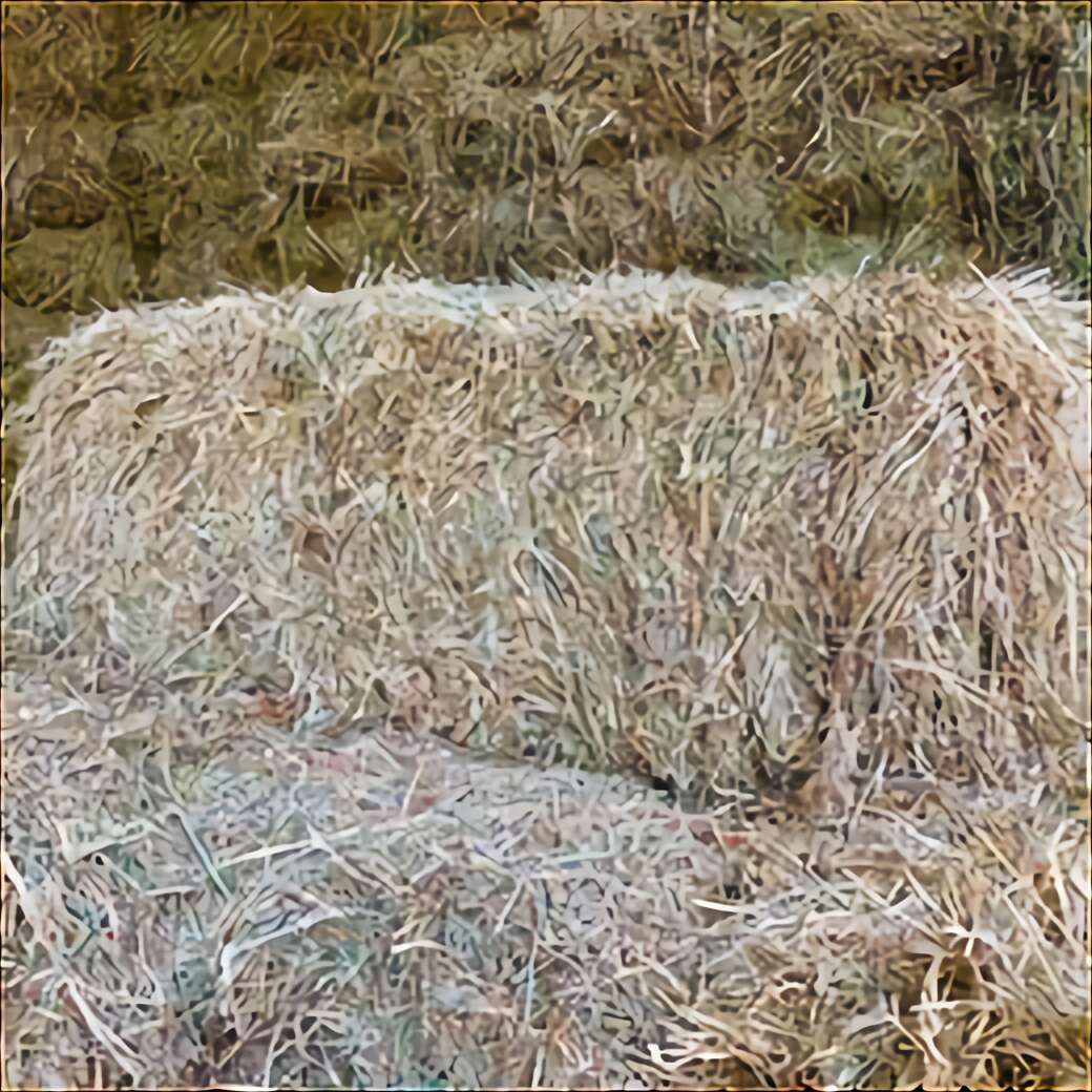 Square Hay Bales For Sale In Uk View 39 Bargains