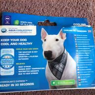 english bulldog harness for sale