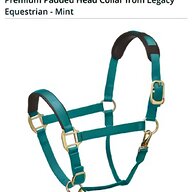 horse head collars for sale