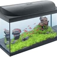 tetra fish tank for sale