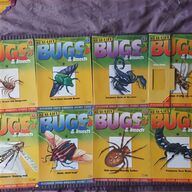real life bugs for sale for sale