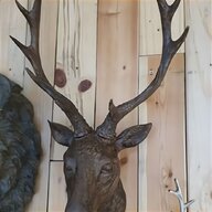 moose horns for sale