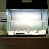 long fish tanks for sale
