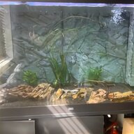 juwel rio fish tank for sale