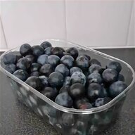 sloes for sale