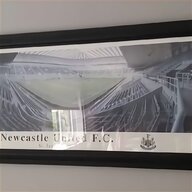 newcastle united fc for sale