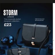 storm purse for sale