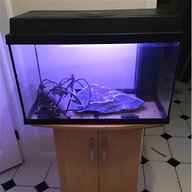 2ft fish tank for sale