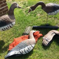 flocked pigeon decoys for sale