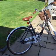 raleigh stand for sale