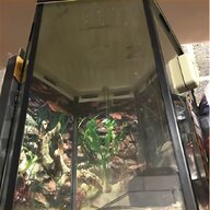 glass fish tank for sale