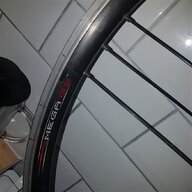 campagnolo century for sale