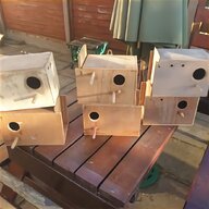 bird breeding boxes for sale