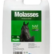 molasses for sale