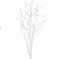 white twig tree for sale