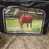 premier equine for sale
