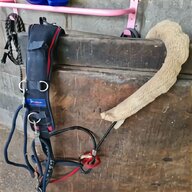 pessoa lunging aid for sale