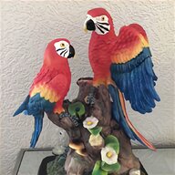 colorful parrots for sale