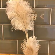 ostrich feather for sale