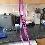 dog grooming straps for sale