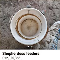 shepherdess lamb feeder for sale
