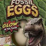 dinosaur fossils for sale