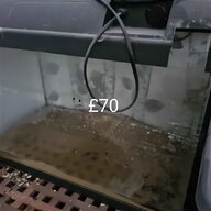 80 litre fish tank for sale