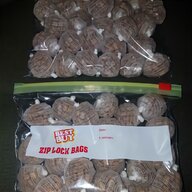 177 pellets for sale