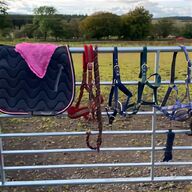 horse lead ropes for sale