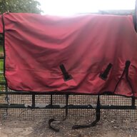 horse rugs 6 3 for sale