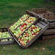 vintage apple crate for sale