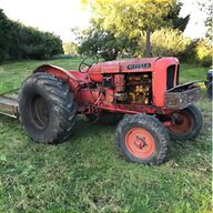 old massey tractors for sale