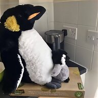 penguin for sale