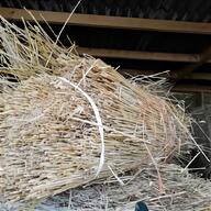 thatching straw straw for sale