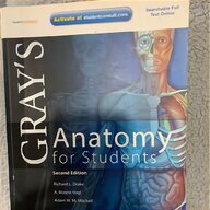 greys anatomy for sale